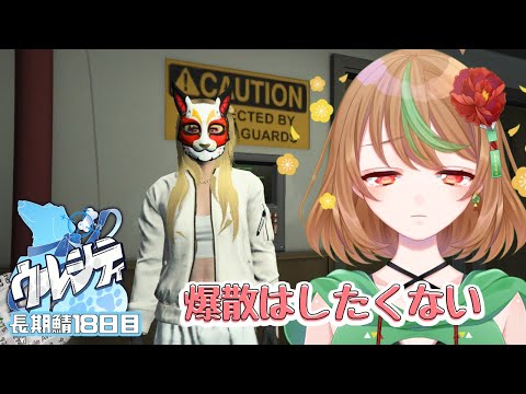 【#ウルシティ】長期鯖１８日目　爆散はしたくないです【優尾あみい】