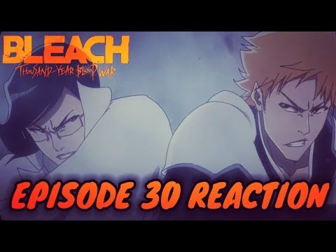 Bleach TYBW Episode 30 Reaction | Ishida vs Ichigo | Hold This L