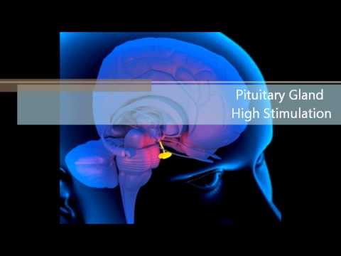 Pituitary Gland High Stimulation