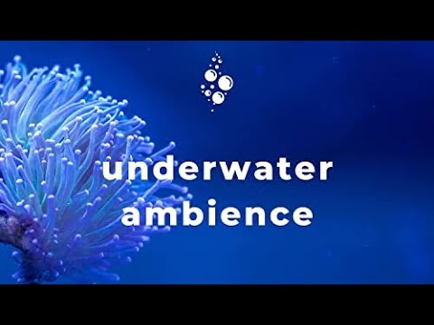 All you need to fall asleep ( Underwater Soothing Noise ) | 10 Hours