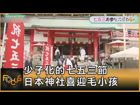 少子化的七五三節 日本神社喜迎毛小孩｜方念華｜FOCUS全球新聞 20241115 @tvbsfocus