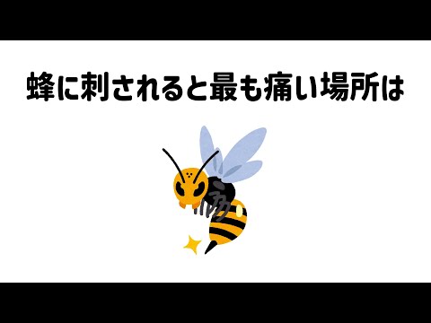 9割が知らない面白い雑学