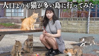 I visited Japan Cat Island, where there are more cats than people🐈