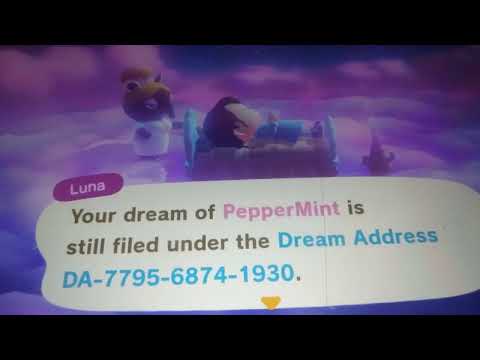 Animal Crossing New Horizons Dream Town Address #acnh #animalcrossingnewhorizons