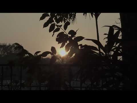 Nature | Nawabs | Location B-Roll | Galaxy 2024