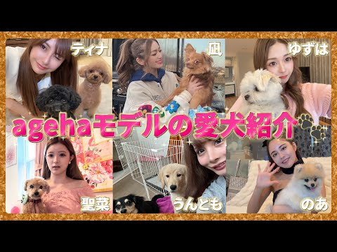 愛しすぎてごめん♡私たちagehaモデルの愛犬紹介！🐶