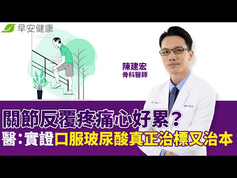 關節反覆疼痛心好累？醫師：實證口服玻尿酸真正治標又治本｜陳建宏 骨科醫師【早安健康】