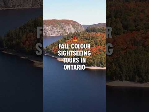 Fall Colours Sightseeing Tours in Ontario