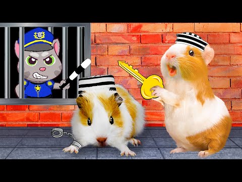 Can Hamham Escapes the Maximum Security Prison? 24 Hour Escape Challenge | Life Of Pets HamHam