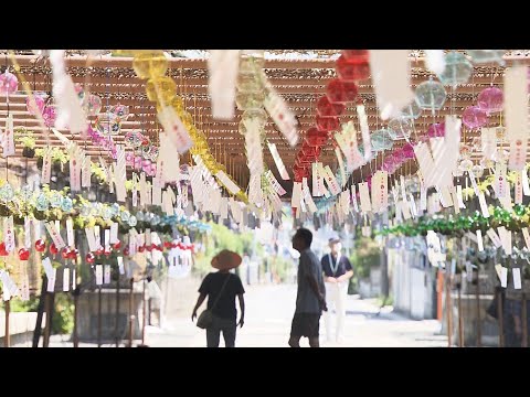 【映像】守り続けたい美しい風景…福島の春夏秋冬　TUFカメラマン撮影、珠玉の映像集【四季カメラ2023総集編①】