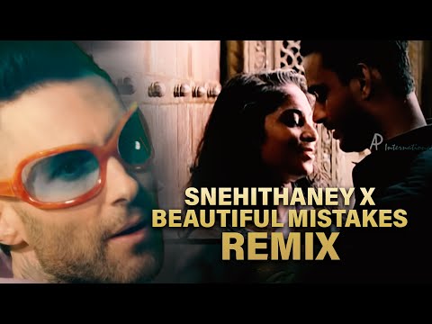 Snehithane X Beautiful Mistakes