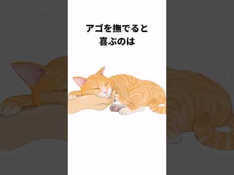 ますますかわいい猫の心理雑学#shorts  #雑学