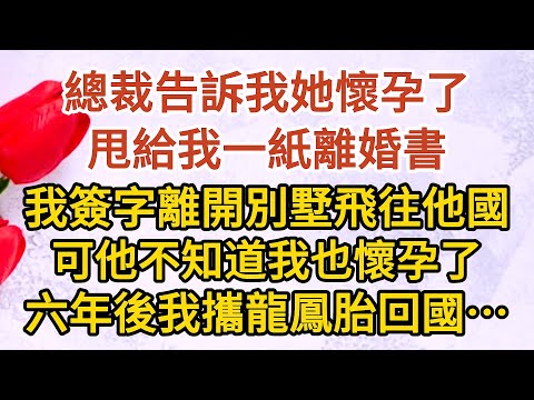 《總裁慌了》第01集：總裁告訴我她懷孕了，甩給我一紙離婚書，我簽字離開別墅飛往他國，可他不知道我也懷孕了，六年後我攜龍鳳胎回國…… #戀愛#婚姻#情感 #愛情#甜寵#故事#小說#霸總