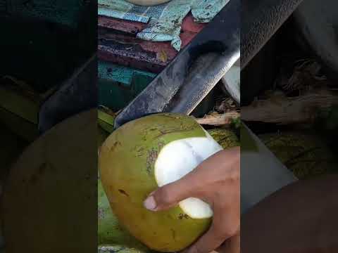 coolest coconut cutting style to have a refreshing BUKO juice #streetfood #youtubeshorts #Gatchie Jr