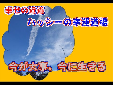 今が大事・今に生きる