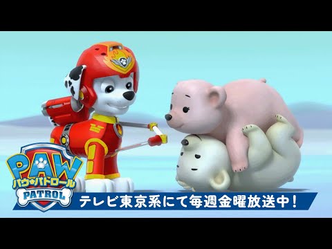 パウ・パトロール | シロクマ＆赤ちゃん動物ミッション！| テレビ東京系にて放送中