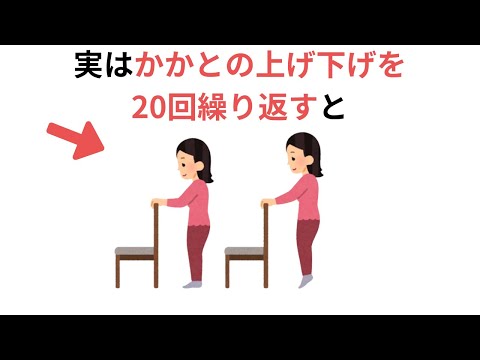 かかとの上げ下げを20回繰り返す（有料級の雑学）