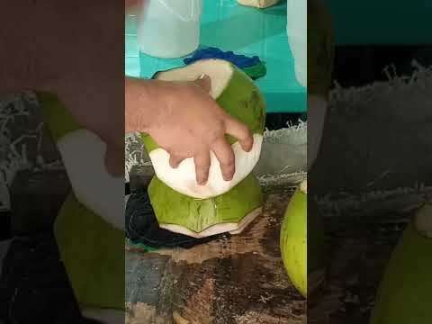 perfect coconut cutting skills Asmr #satisfying #cuttingskills #streetfood #youtubeshorts #Gatchie