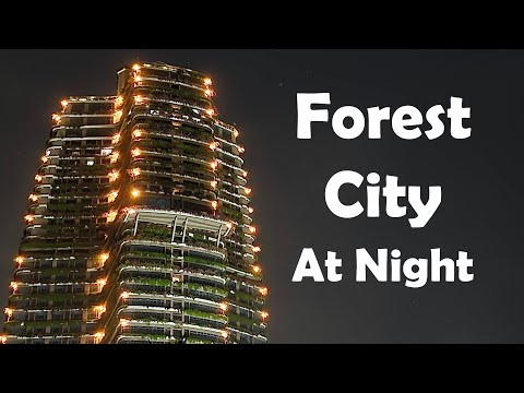 Forest City Malaysia At Night