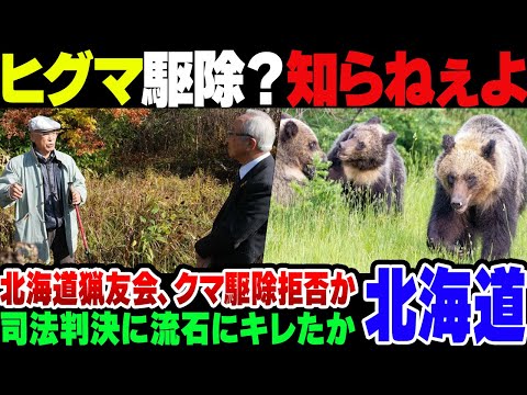 【北海道】ヒグマ駆除で銃を撃ったら猟銃免許取り消しになった件、裁判結果にキレた猟友会がヒグマ駆除を拒否か【ゆっくり解説】