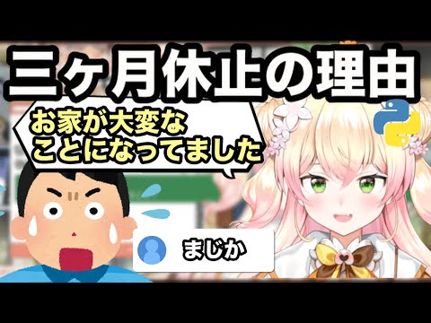 【AI切り抜き】ねねち三ヶ月休止の理由【ホロライブ/桃鈴ねね】