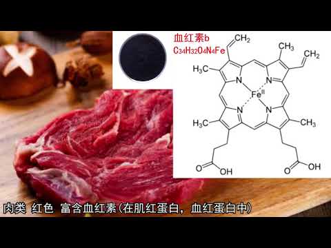 各种食物的颜色的成因 HOW FOOD COLOR 식품의 색갈의 비밀