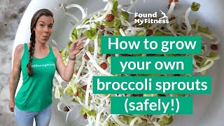 How to Grow Broccoli Sprouts