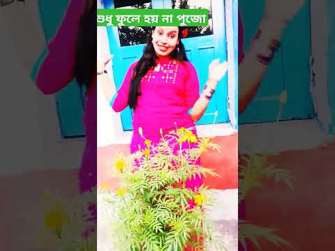 শুধু ফুলে হয় না পুজো #viralvideo #superduperhit #popular