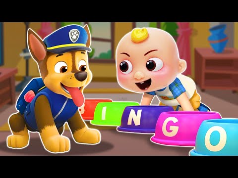 Bingo Song | Simple Baby Song 🍼  | CoComelon Nursery Rhymes & Kids Songs