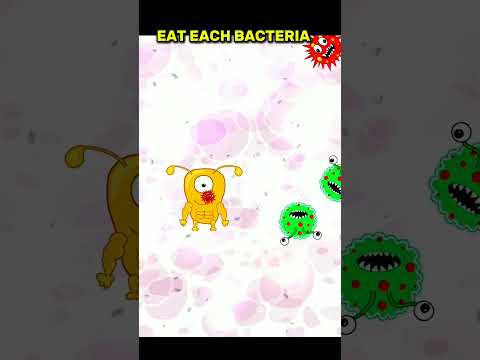 virus and bacteria #shortsviral #viralreels #fyp #kids #brazil #roblox