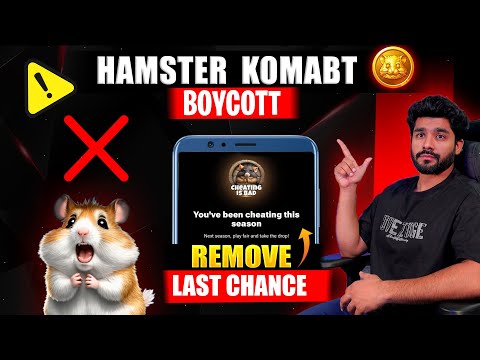 BOYCOTT 🤬 HAMSTER COMBAT || ROCKY RABBIT LAST CHANCE || NO GAS FEES || LIVE HAMSTER KOMBAT Q & A