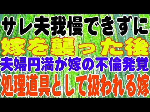 【スカッとする話】後悔、サレ夫我慢できずに嫁を襲った後、以外にも夫婦円満が嫁の不倫発覚