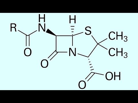 ペニシリンの作用機序の話【ゆっくり解説】