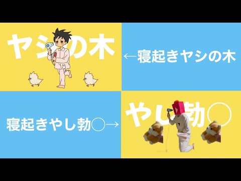 【ゆこぴVS動あり】寝起きヤシの木をくらべてみた