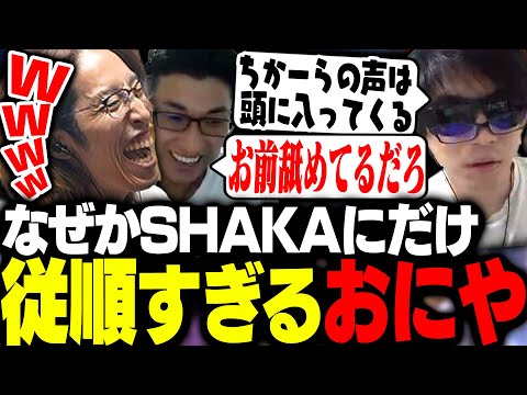 なぜか従順なおにやに爆笑するSHAKA【Apex Legends】