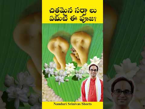 సర్పాలతో చేసే పూజ | What is this Sarpa samskara pooja? | Nanduri Srinivas