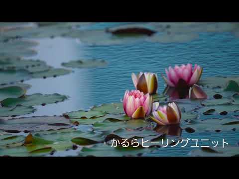 才能開花  本当の自分を思い出す宇宙瞑想 #波動上昇 #倍音 #ヒーリング