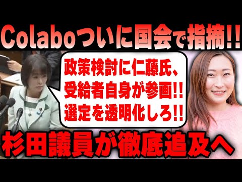 【Colabo】仁藤夢乃氏 ついに国会で杉田議員から政策検討の場にいたことを追及されてしまうｗ