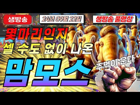 🔥09월22일 {생방송 } 지금은 슬롯마녀시대!🔥[슬롯][슬롯 생방송][프라그마틱][온라인슬롯][슬롯라이브][강원랜드][슬롯머신][슬롯마녀]