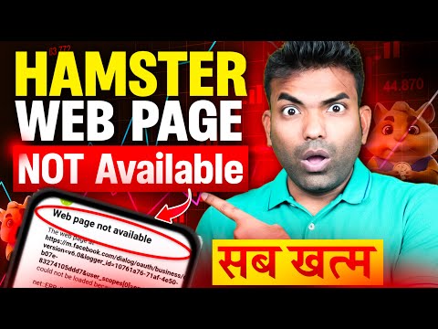 Its Scam? Hamster Kombat Webpage Not Available | What To Do?