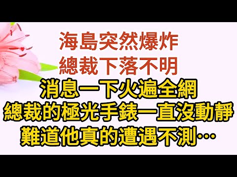 大結局（上）《三崽炸翻天》第09集：海島突然爆炸，總裁下落不明，消息一下火遍全網，總裁的極光手錶一直沒動靜，難道他真的遭遇不測……#戀愛#婚姻#情感 #愛情#甜寵#故事#小說#霸總