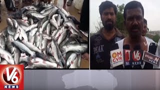 Mass Fish Death In A Lake In Rampally Village | Medchal | V6 News