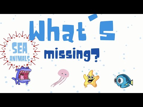 What's Missing? Sea Animals