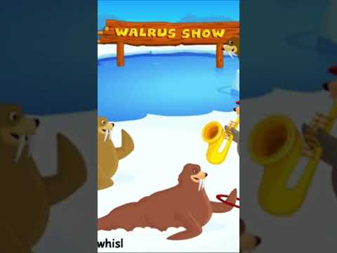 Walrus Sea Animal Underwater Song for Kids #seaanimal #seaanimalsname #walrus #nurseryrhymes #rhymes