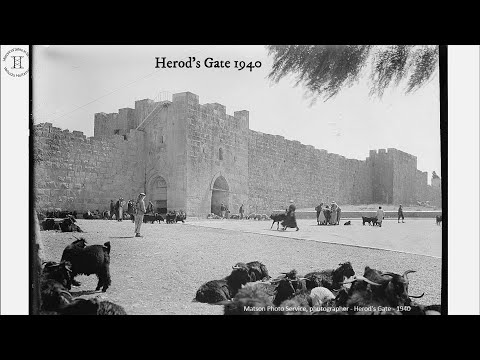 Herod's Gate - Jerusalem