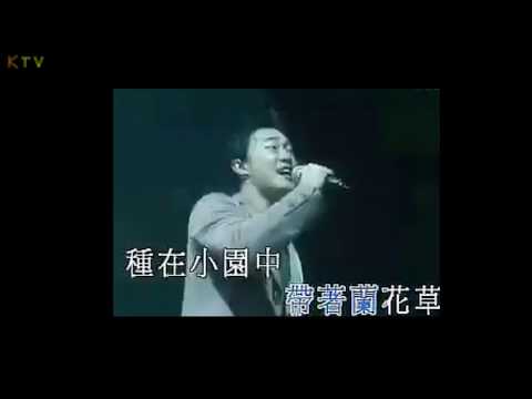 【MV】陈奕迅 叶倩文 《兰花草》我很喜欢这个版本