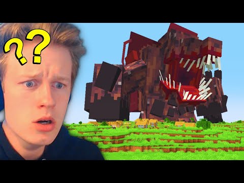 How I Fooled my Friend with a Parasite Mod on Minecraft...