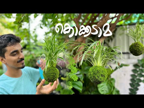 പായൽ പന്തുകൾ - Kokedama വളരെ എളുപ്പത്തിൽ ഉണ്ടാക്കാം 🌿 #kokedama #mossball