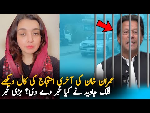 Falak Javed Talking About Imran Khan Protest Call, Report | Imran Khan | Pak News Report