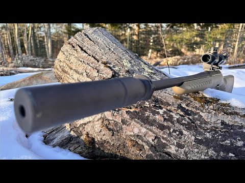 HEAR the DIFFERENCE!! Ruger American Ranch 300Blackout / Sig Suppressor / Supersonic & Subsonic